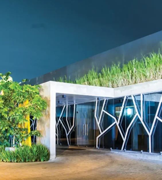 niru-diamonds-sri-lanka-cover